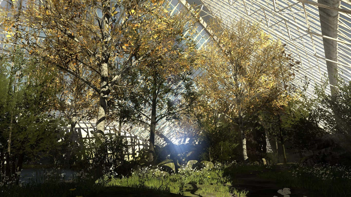 پس‌زمینه 1366x768 جنگل گهنا از بازی The Talos Principle والپیپر