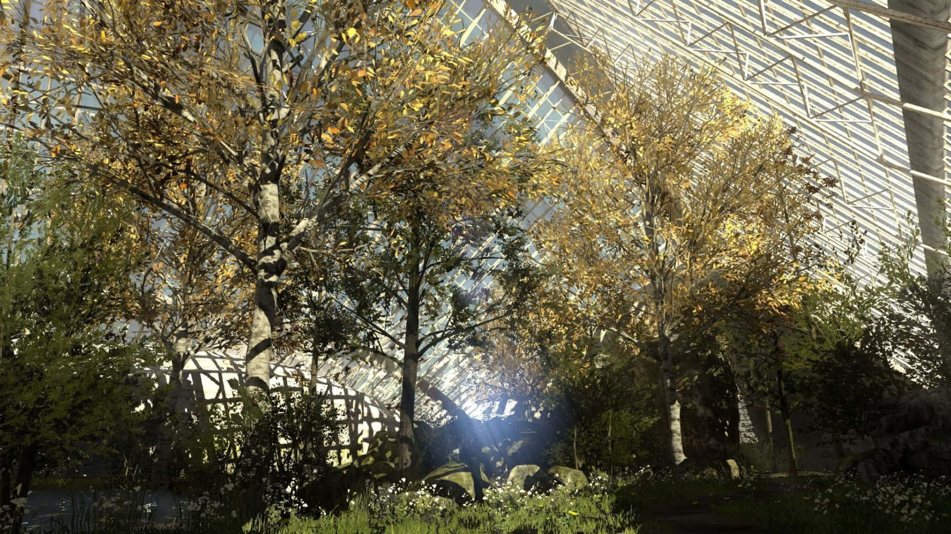 پس‌زمینه 1920x1080 جنگل سرسبز از بازی The Talos Principle والپیپر