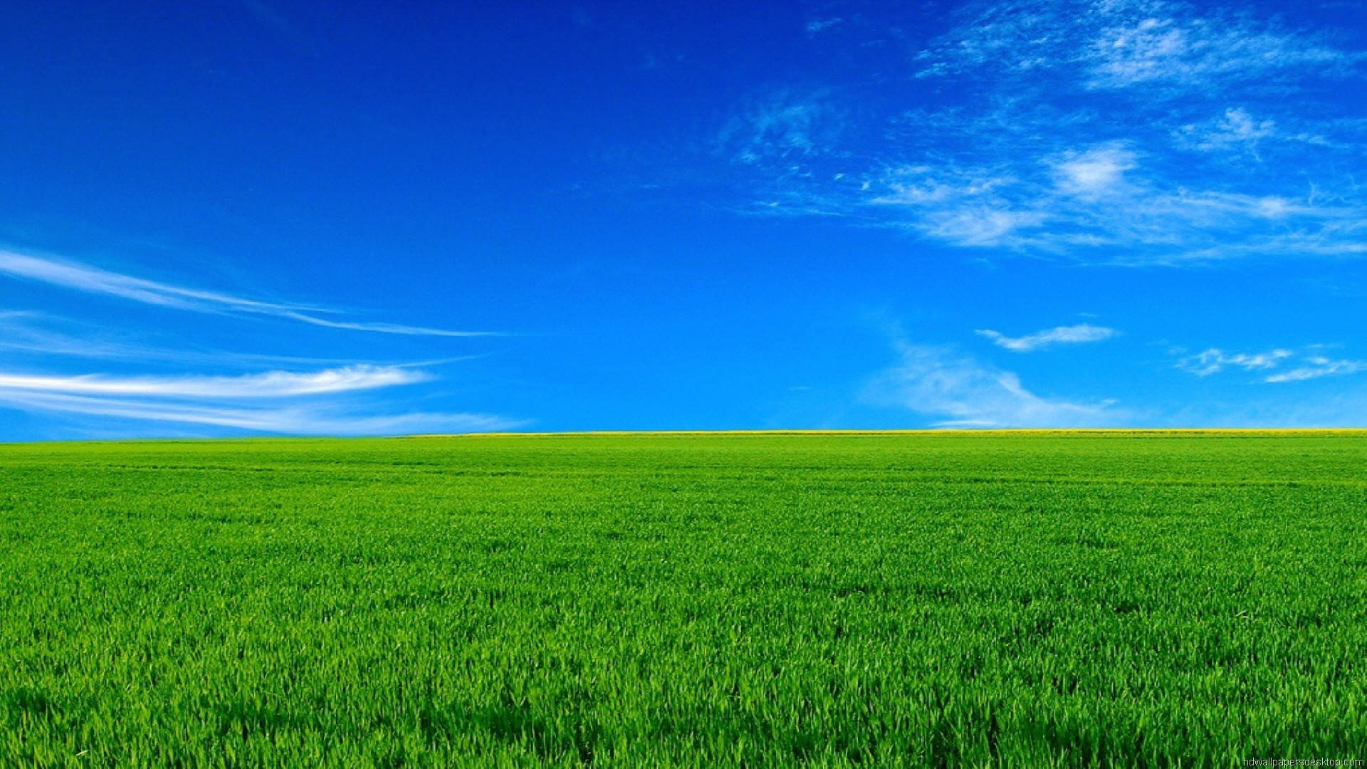 1920x1080 فول اچ‌دی طبیعت چمن سبز آسمان آبی — طبیعت والپیپر