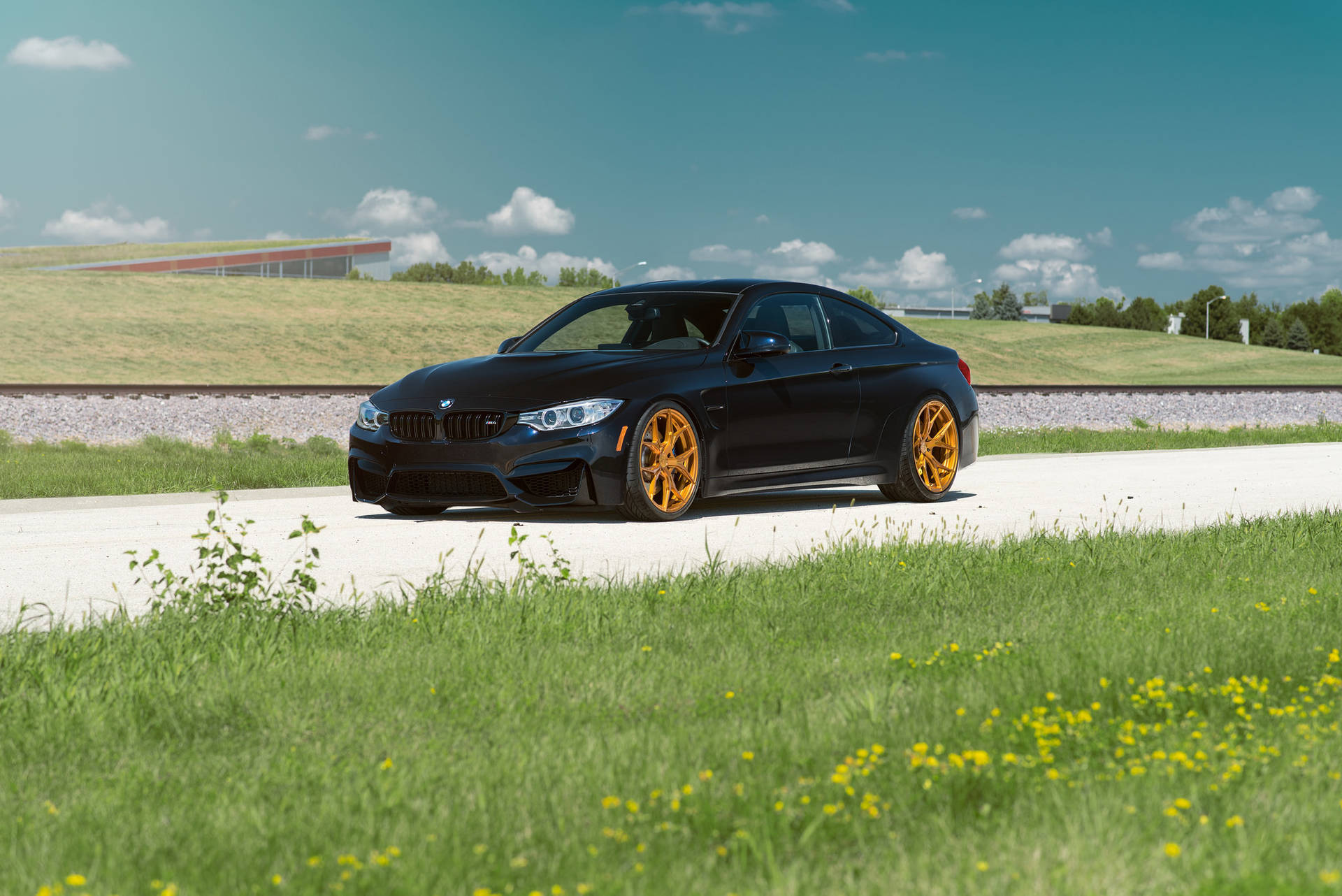 والپیپر خودروی مشکی BMW M4 F82 در جاده با چمن — بی‌ام‌و والپیپر