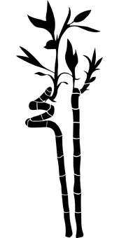 قطره آب روی پس‌زمینه سیاه.JPG والپیپر