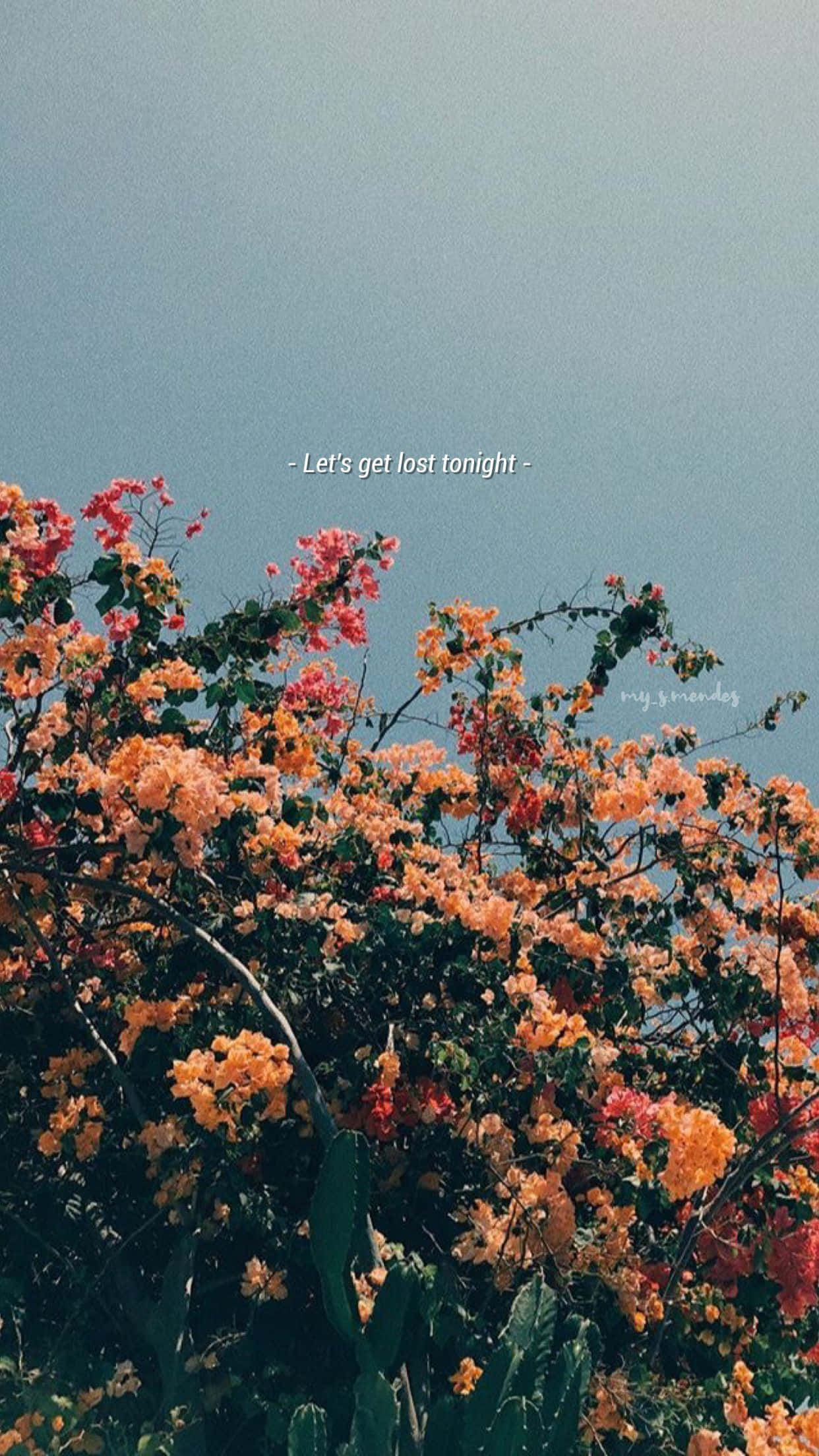عکسی از گل‌ها با عبارت 'love you first thought' والپیپر