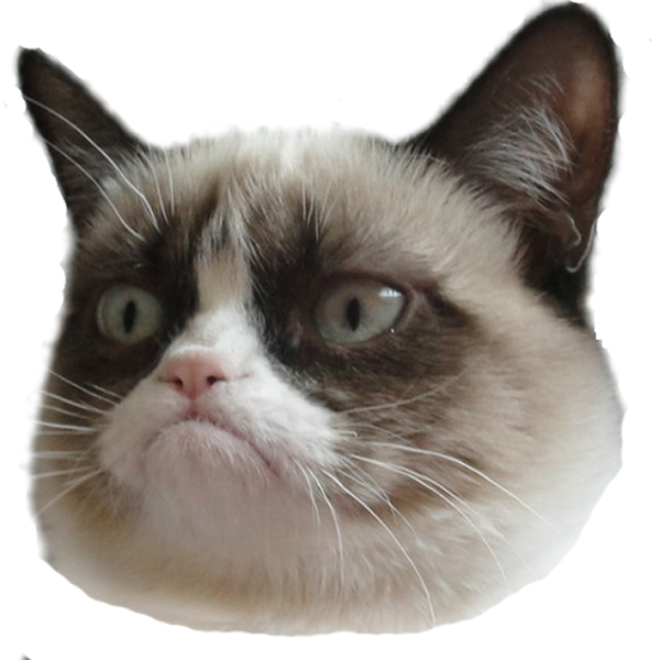 گربه عبوس با پس‌زمینه شفاف.PNG والپیپر