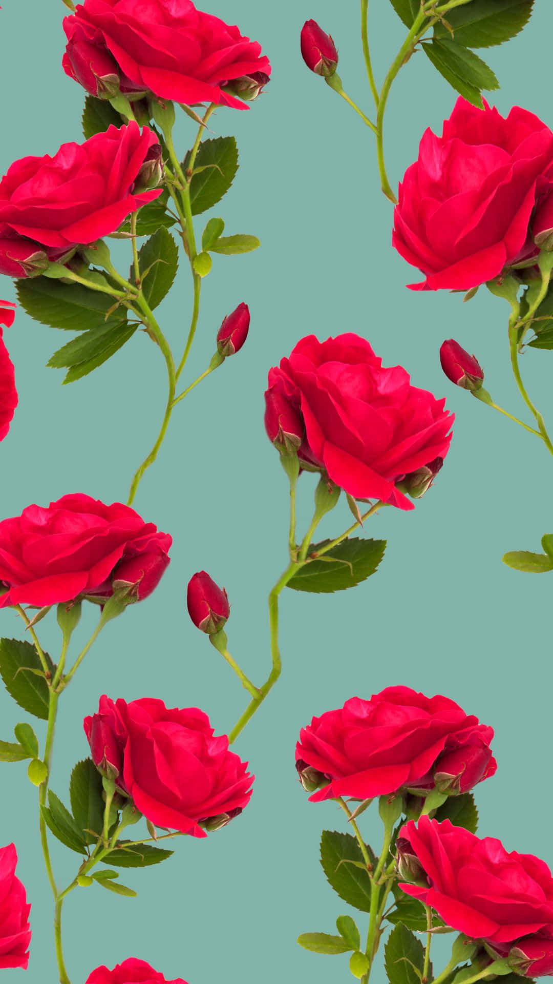 پس‌زمینه الگوی زیبای گل رز قرمز VSCO والپیپر