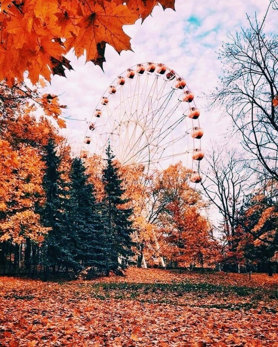 از زیبایی فصل در حال تغییر لذت ببرید. والپیپر