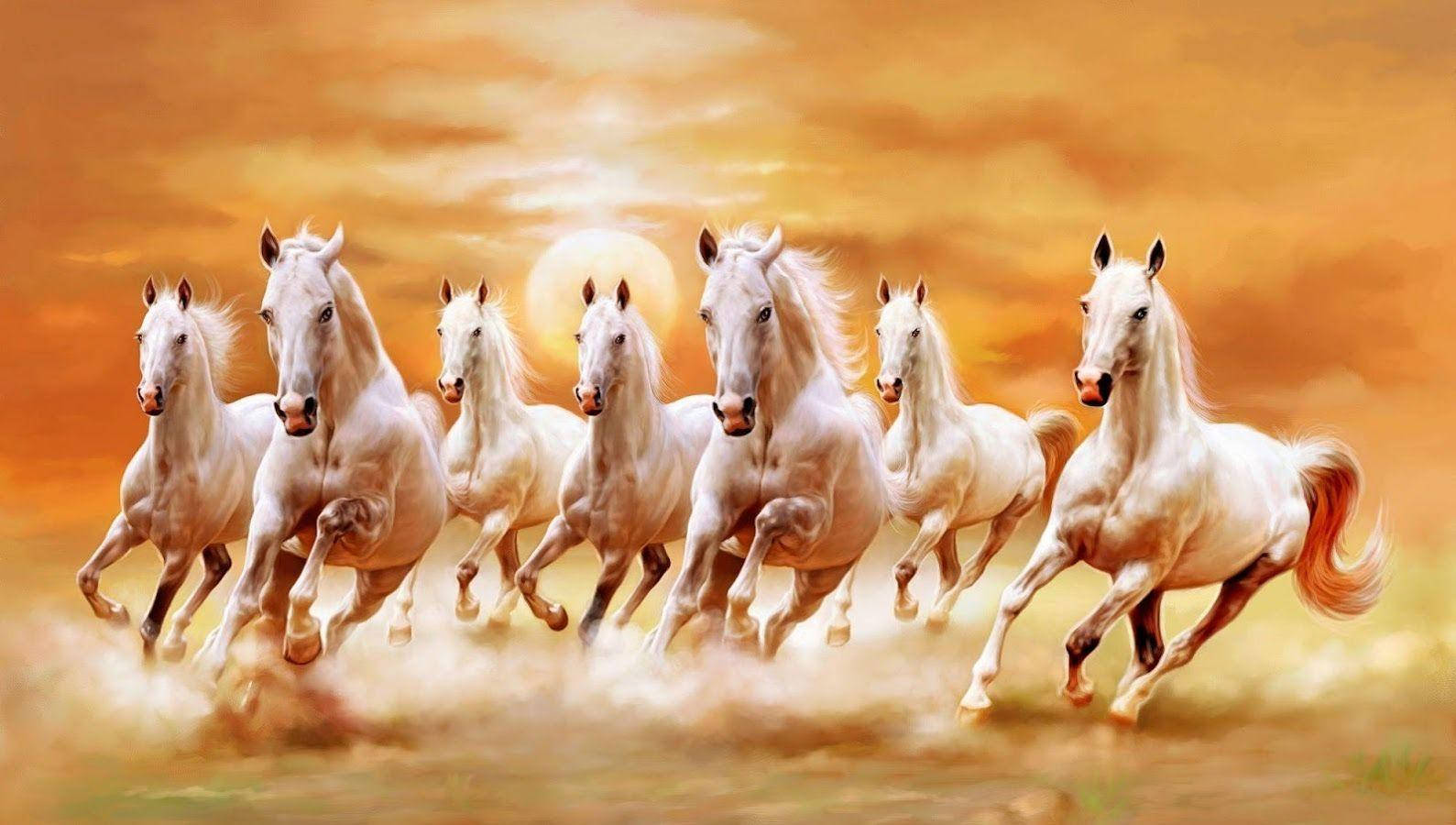 اسب‌های زیبا و آسمان نارنجی‌رنگ والپیپر