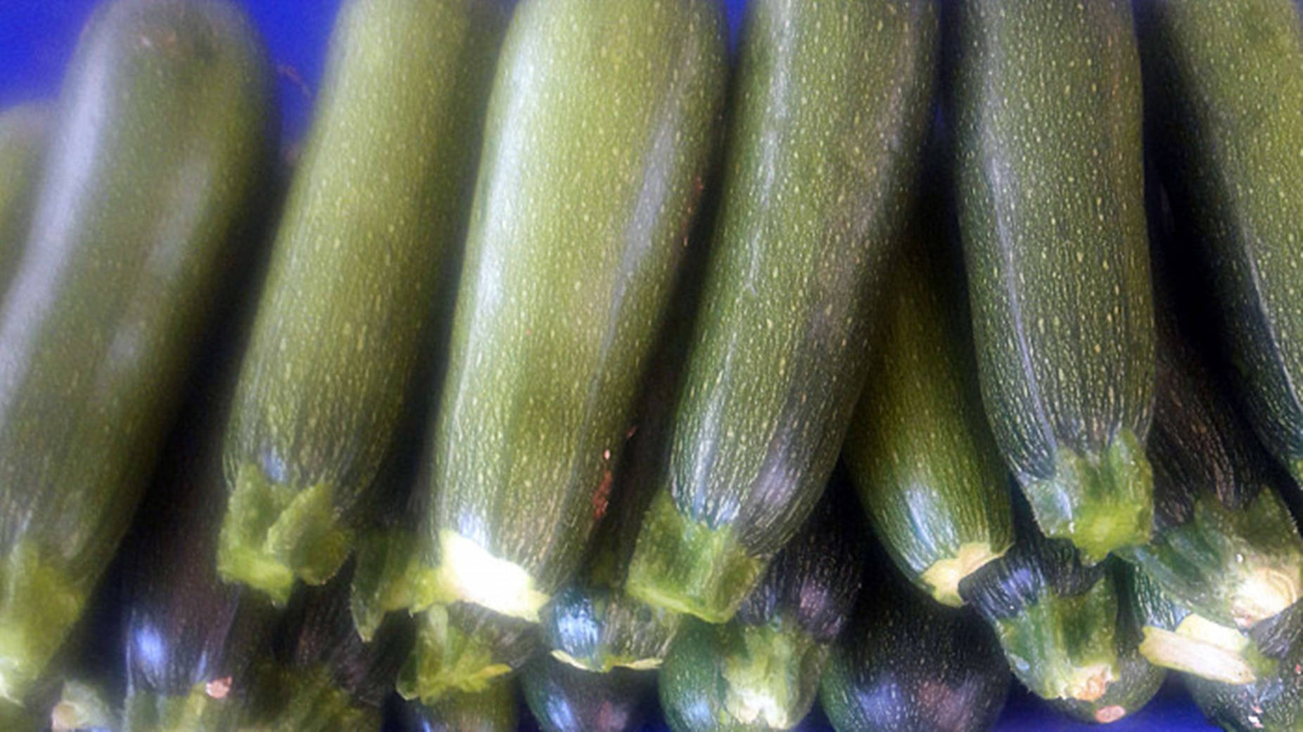 انواع کدو سبز بچه — سبز تیره والپیپر
