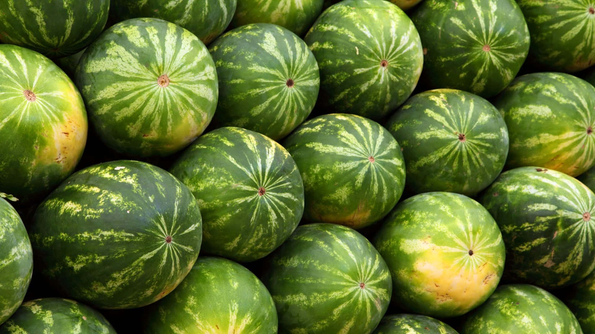 برشی تازه از تابستان والپیپر
