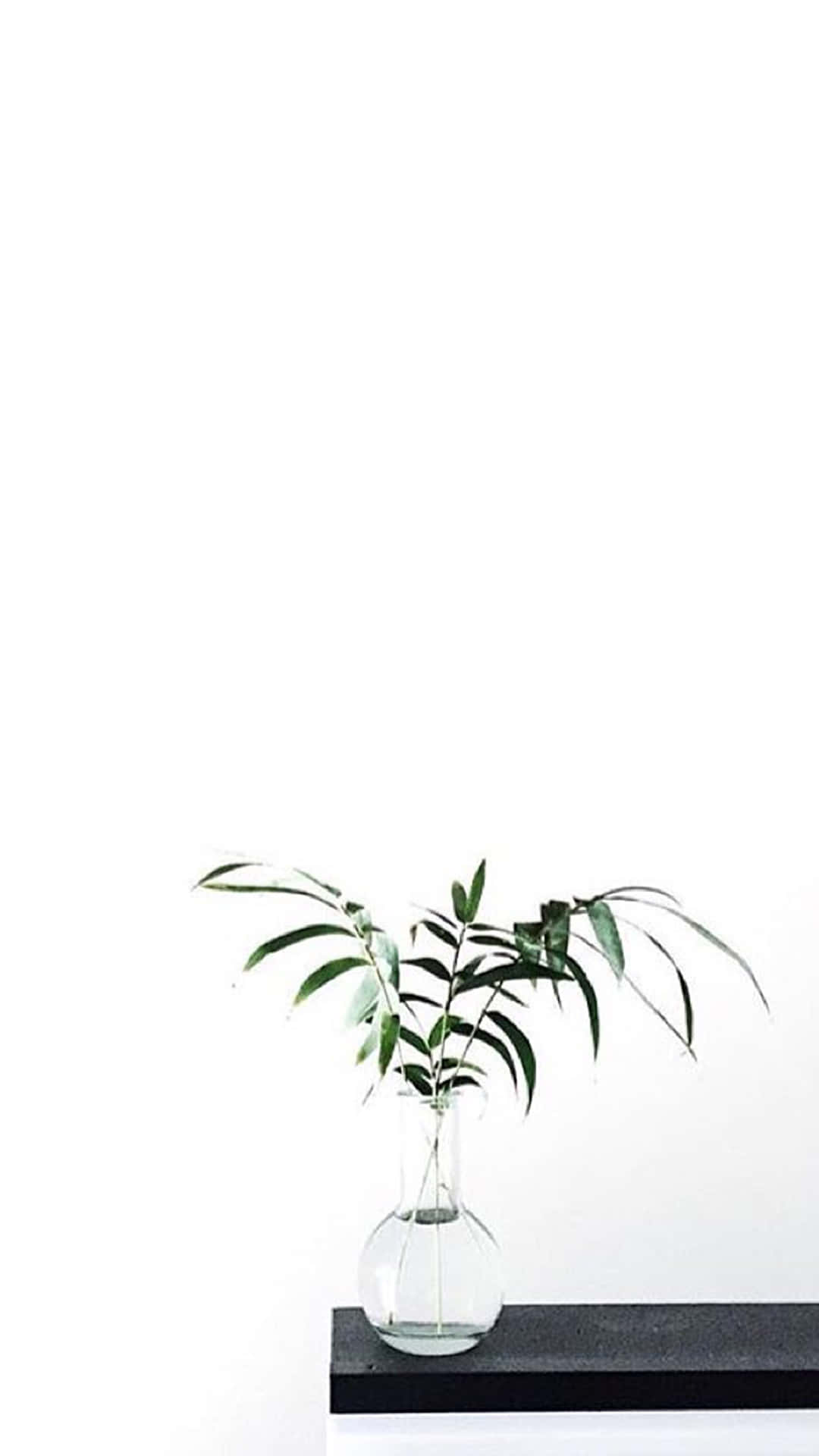 به دنیا نشان دادن اینکه Aesthetic White می‌تواند ظاهر شما را شیک نگه دارد. والپیپر