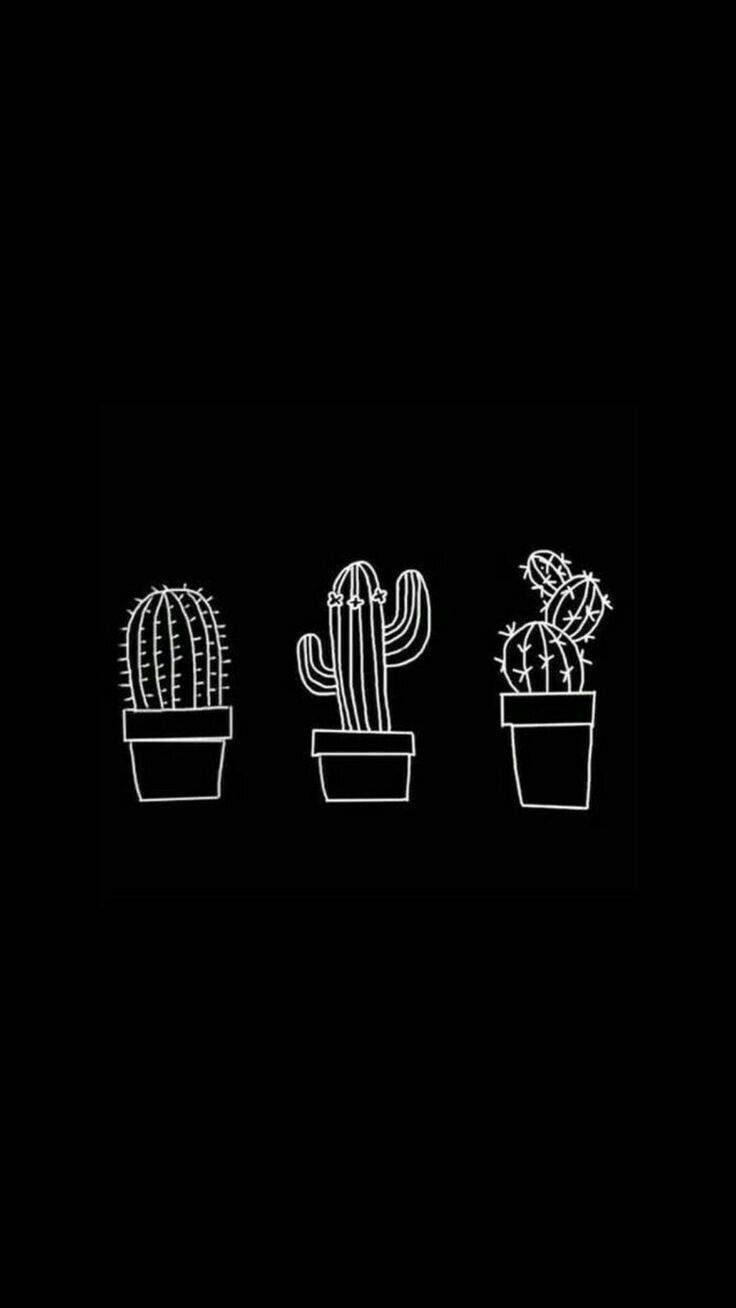 بچه گربه سیاه چشم آبی جذاب والپیپر