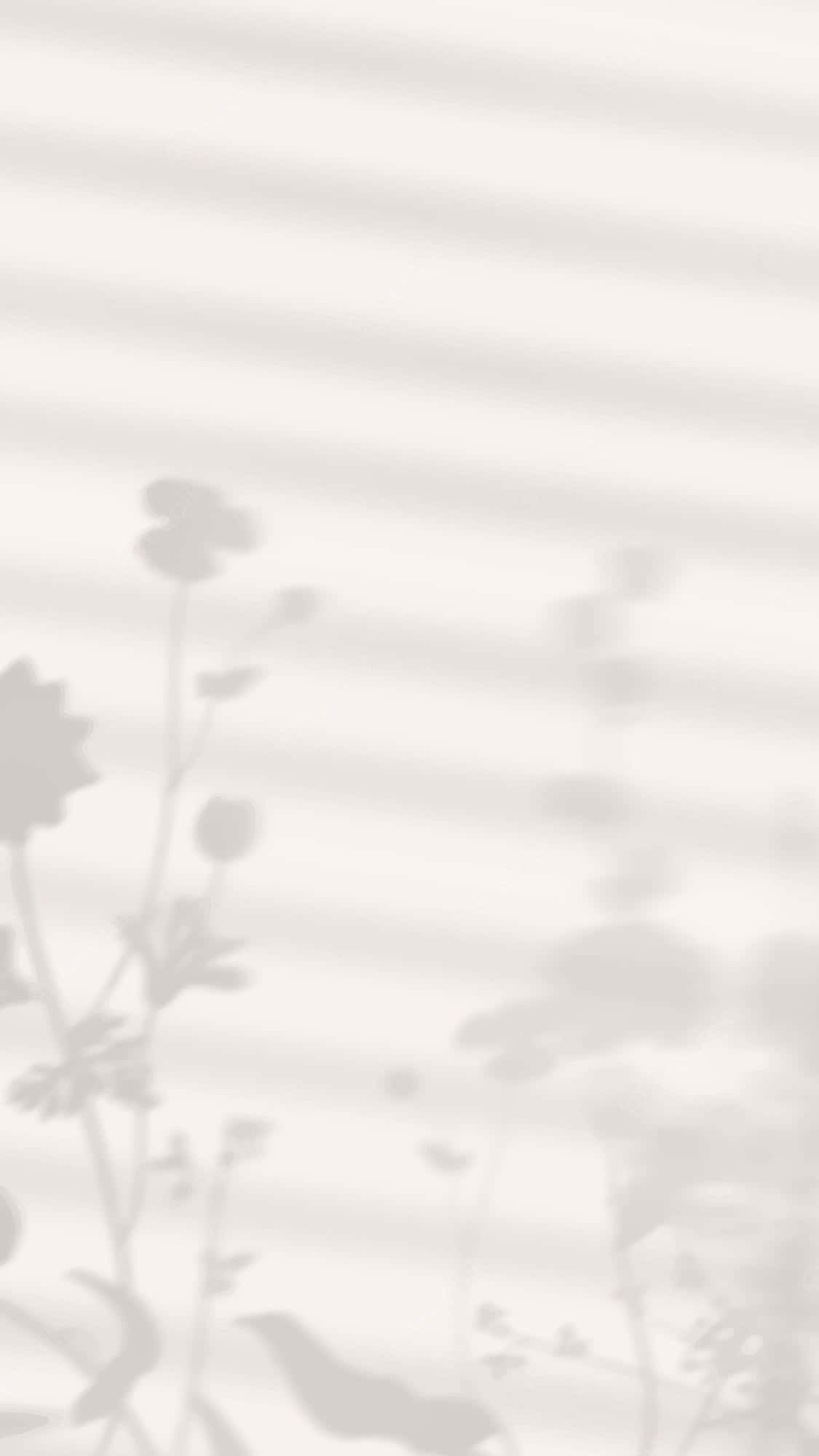 تصاویر زیبای سایه گیاه والپیپر