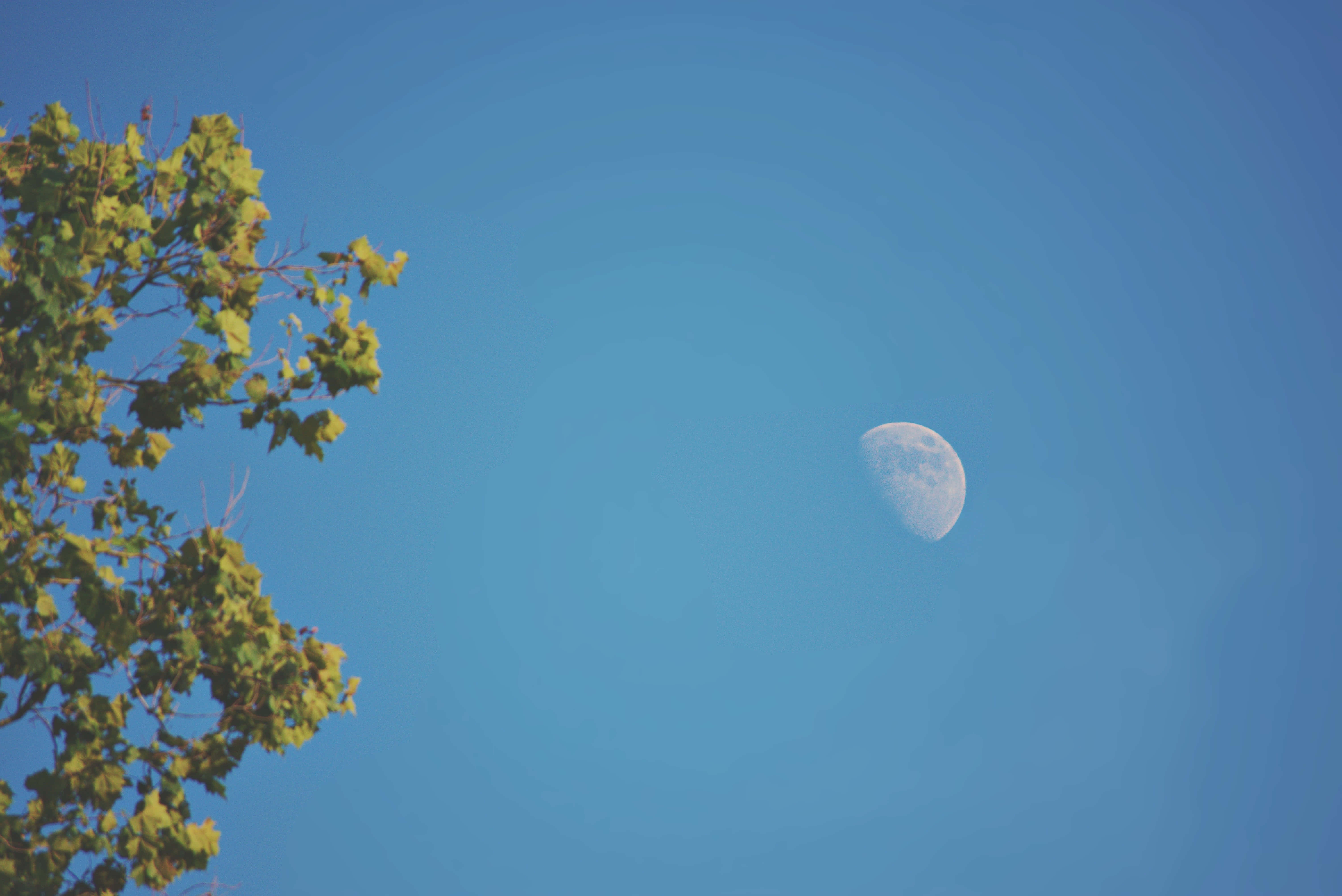 تصویر آسمان آبی صاف با ماه والپیپر