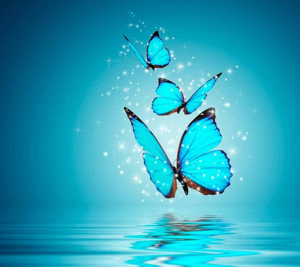 تصویر پروفایل واتساپ پروانه‌های درخشان