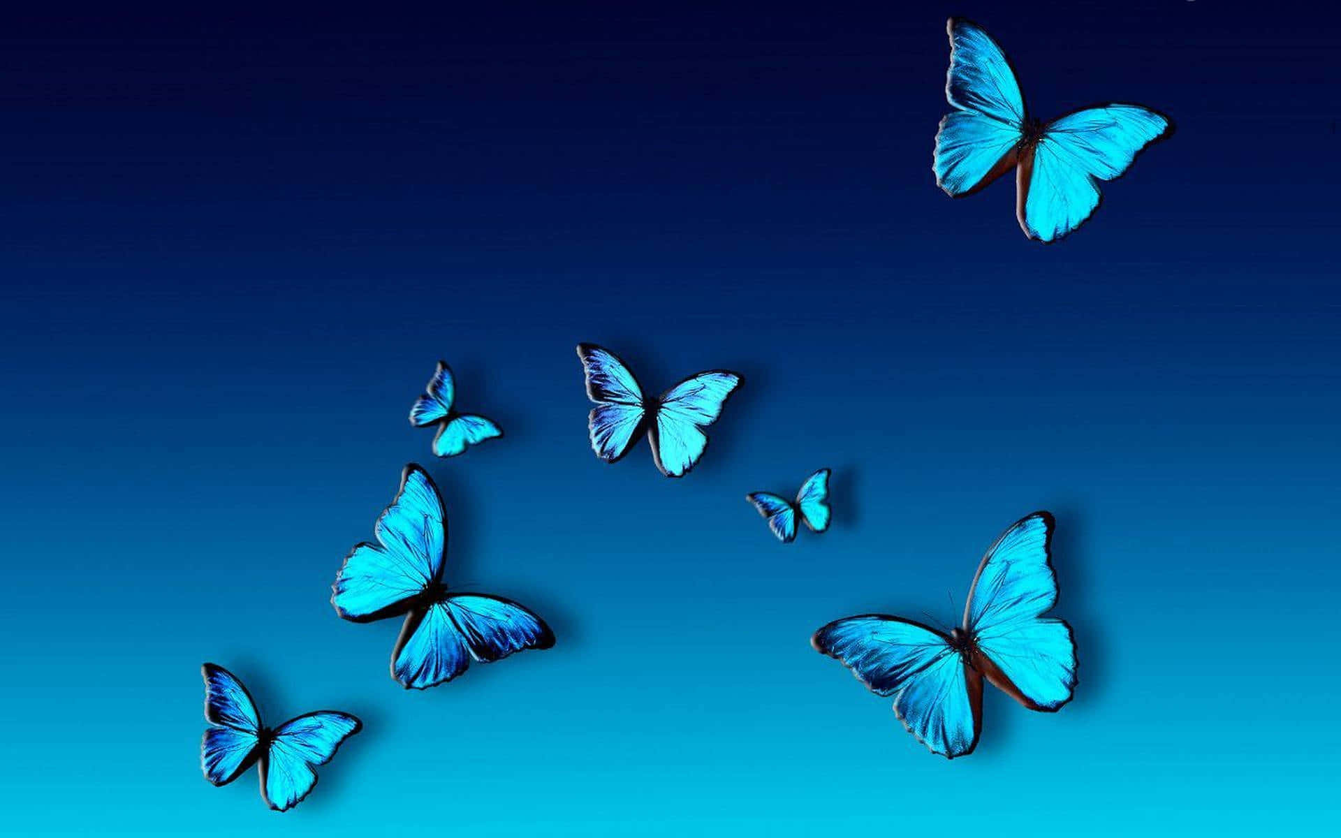تقدیم به زیبایی طبیعت والپیپر