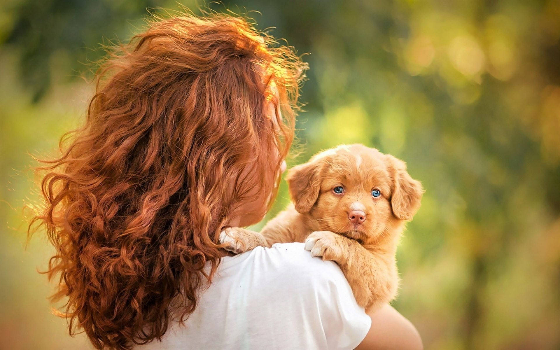توله سگ طلایی کوچک و زن والپیپر