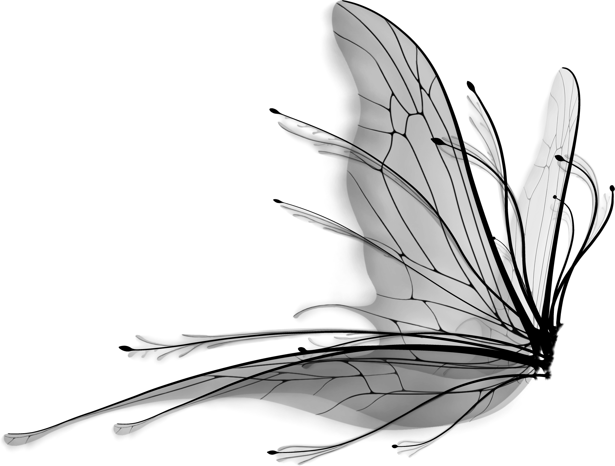 تک رنگ شبح پروانه والپیپر