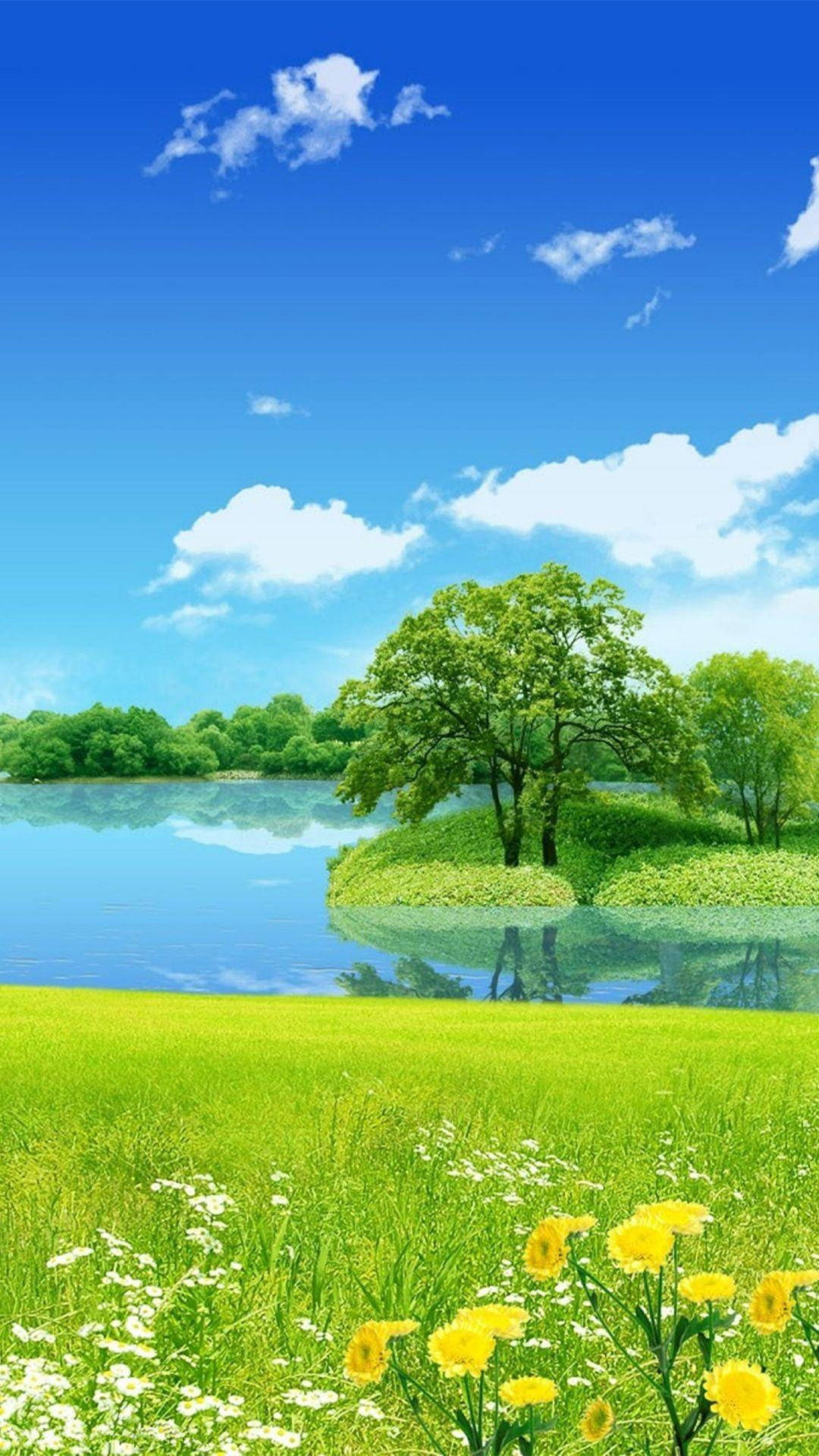 جزیره حوضچه تلفن طبیعت والپیپر