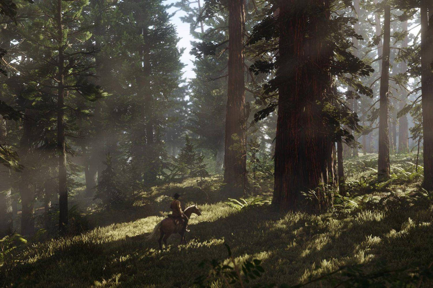 جنگل 4K Red Dead Redemption 2 والپیپر