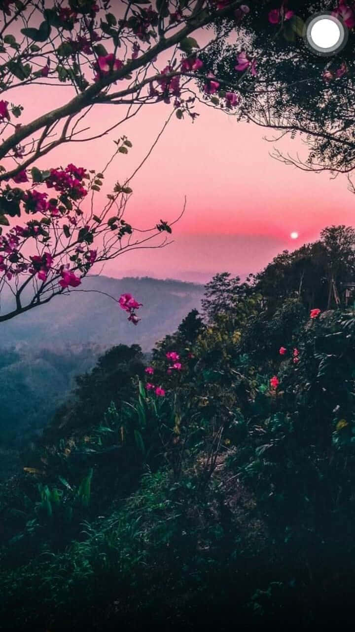 طبیعت زیبا برای موبایل — طبیعت والپیپر