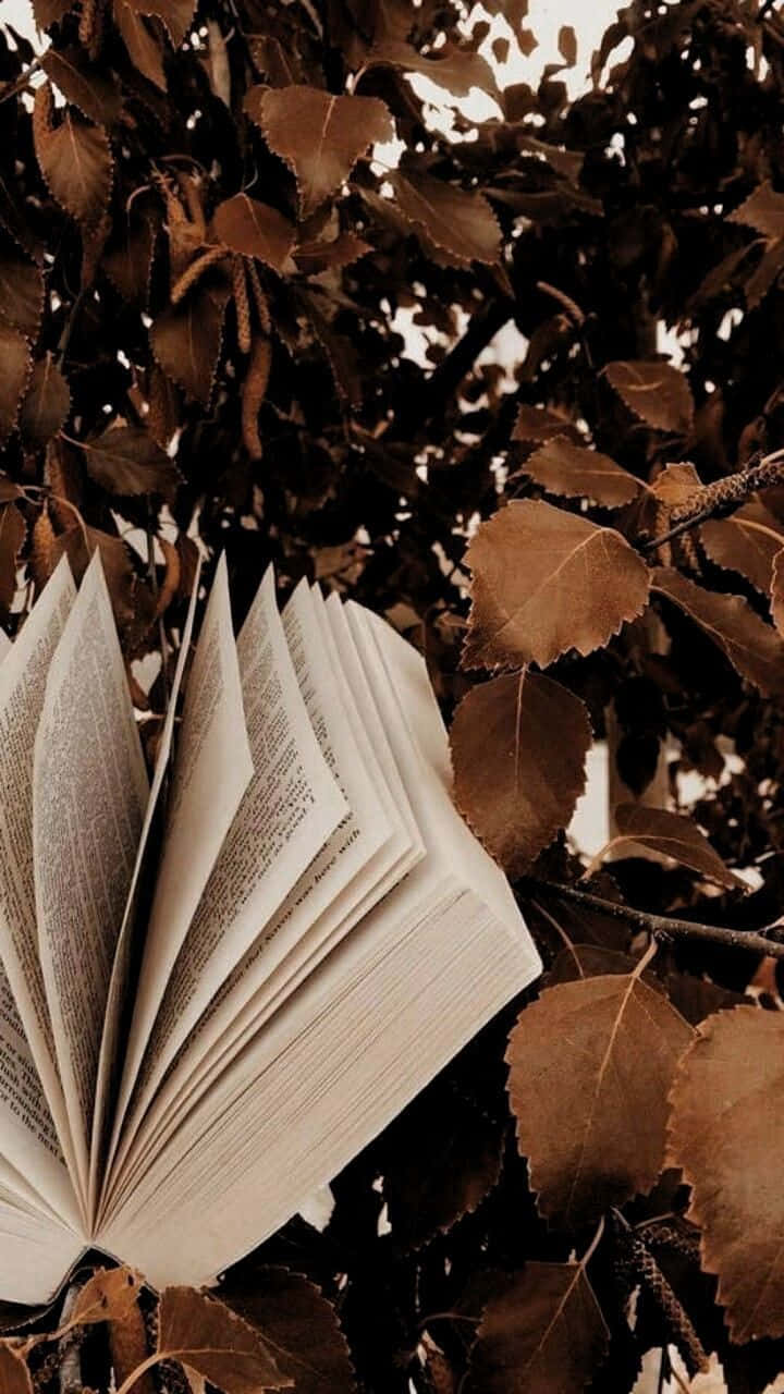 در فضایی طبیعی و قهوه‌ای روشن آرامش بگیرید والپیپر