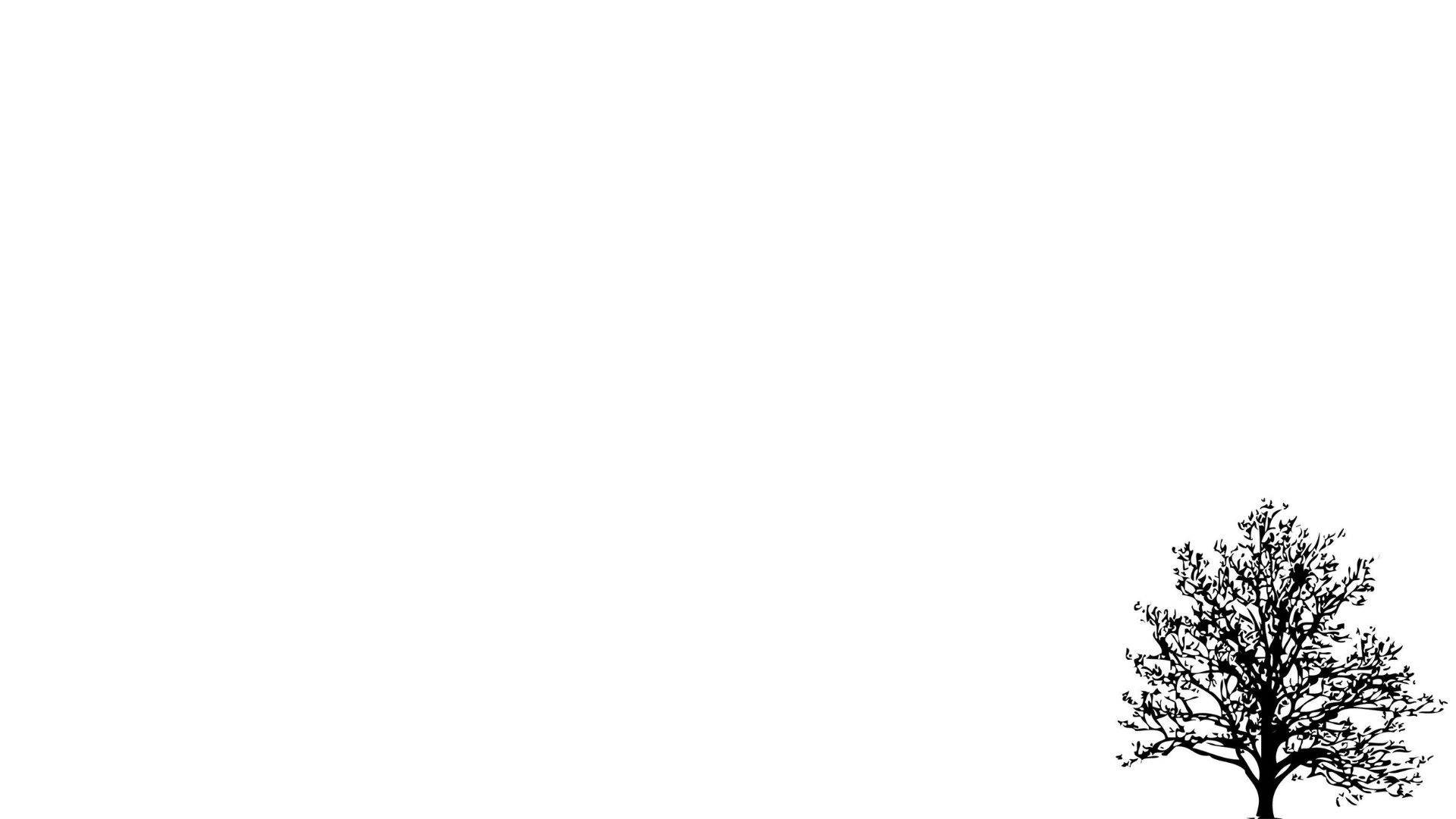 درخت سفید زیبا والپیپر