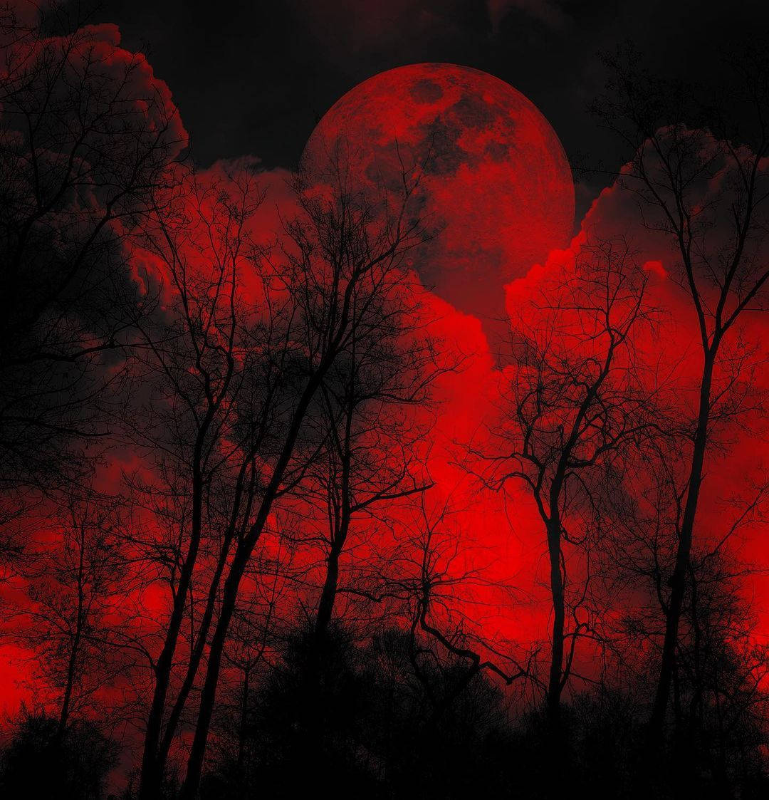 درختان شوم با آسمان قرمز والپیپر