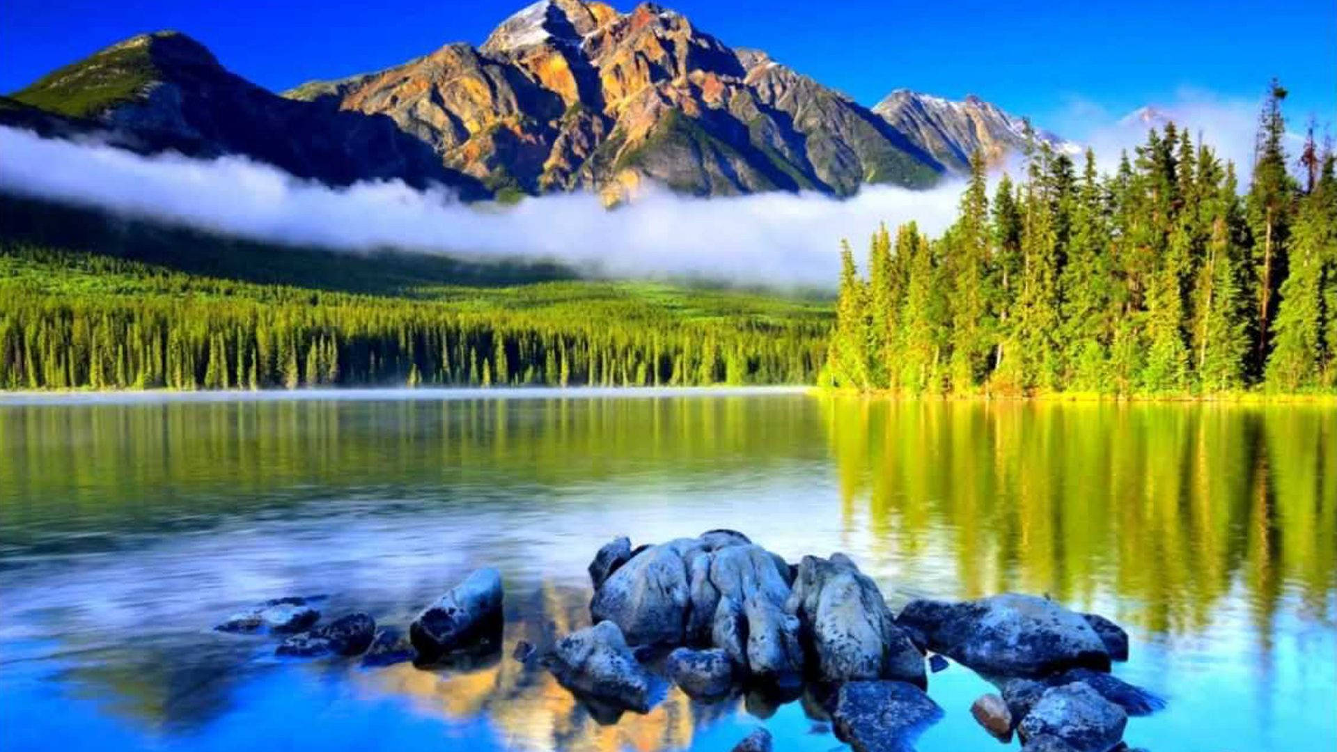 دریاچه با نمای جنگل والپیپر