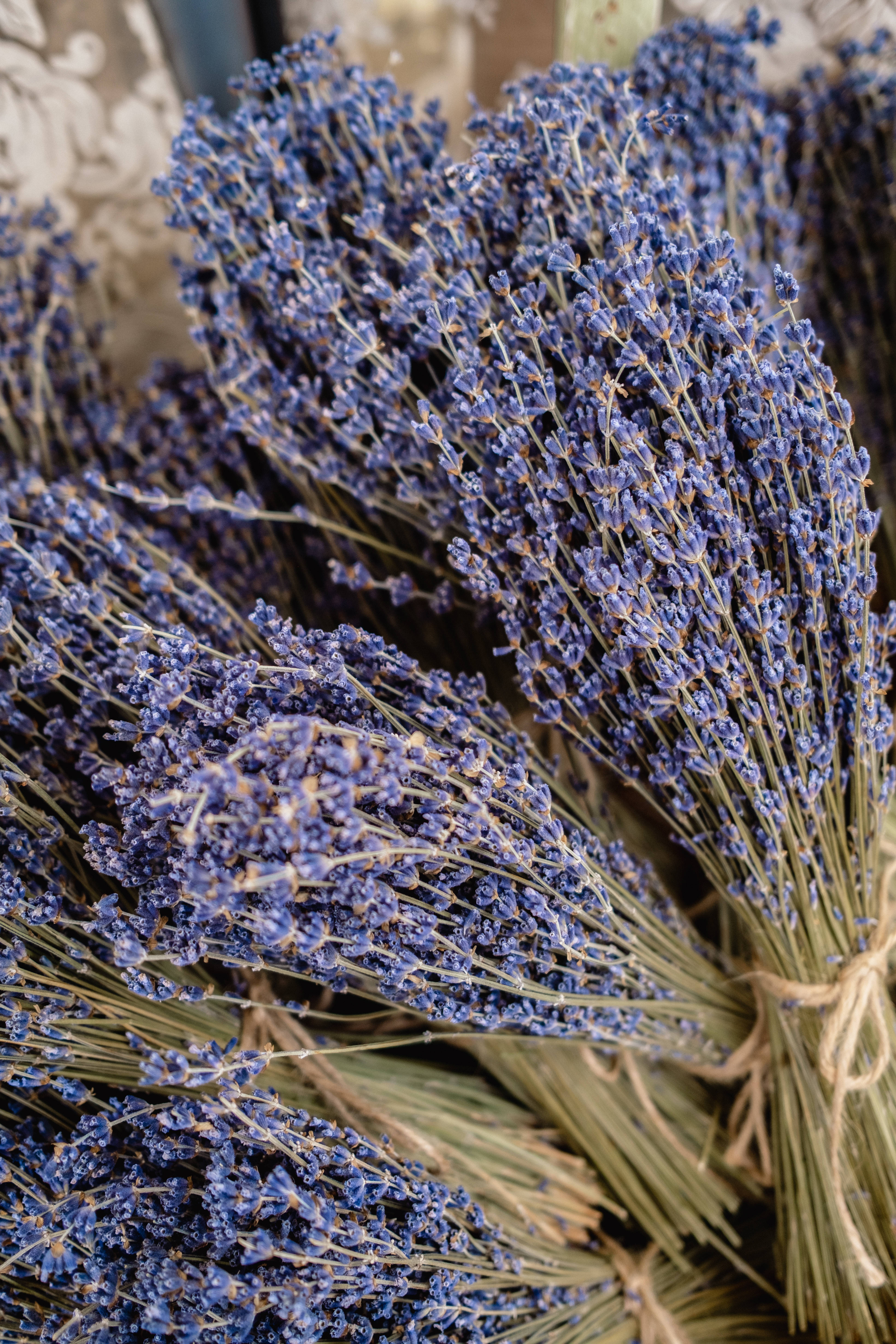 دسته گل اسطوخودوس زیبا والپیپر