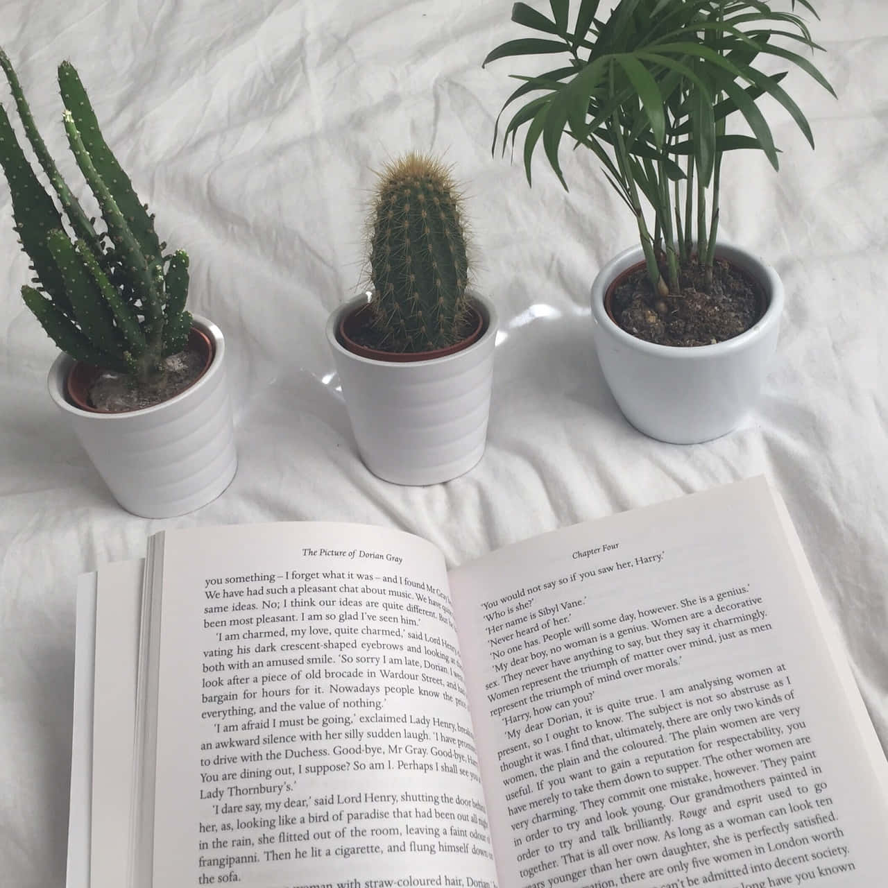 دنیای کتاب‌ها را کاوش کنید! 📖 والپیپر