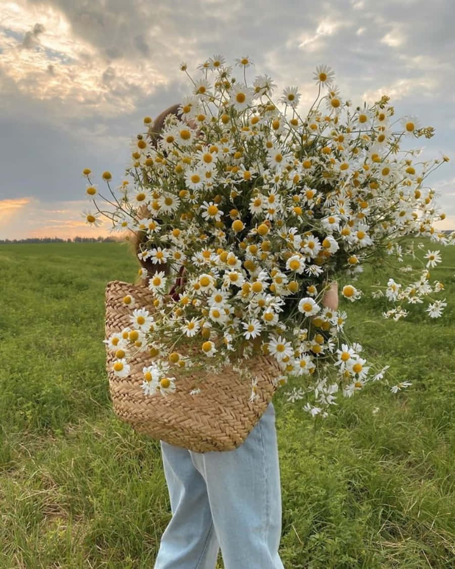 زنی که سبدی پر از گل مینا حمل می‌کند والپیپر