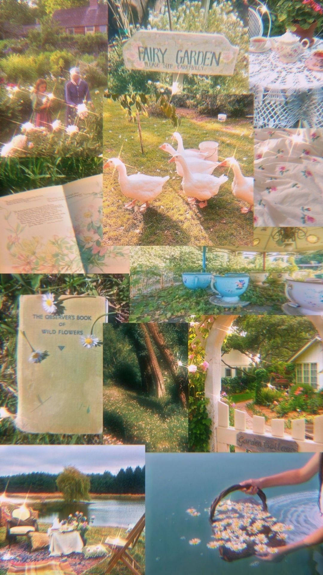 زیبایی درخشان پری والپیپر