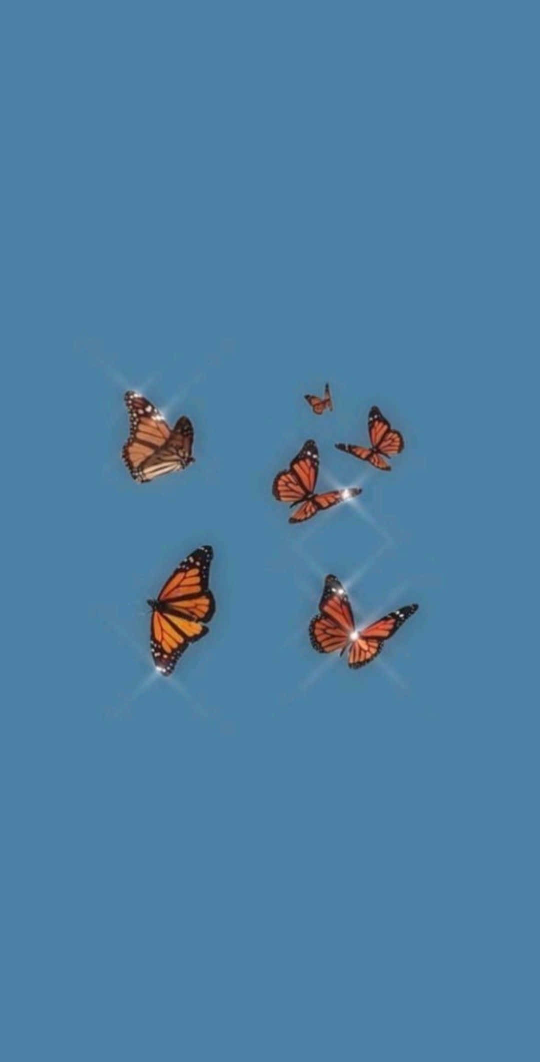 زیبایی را به هر روز خود با یک آیفون زیبا بیاورید والپیپر