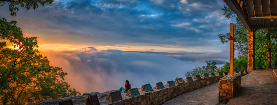 زیبایی زندگی‌ات را پر کند والپیپر