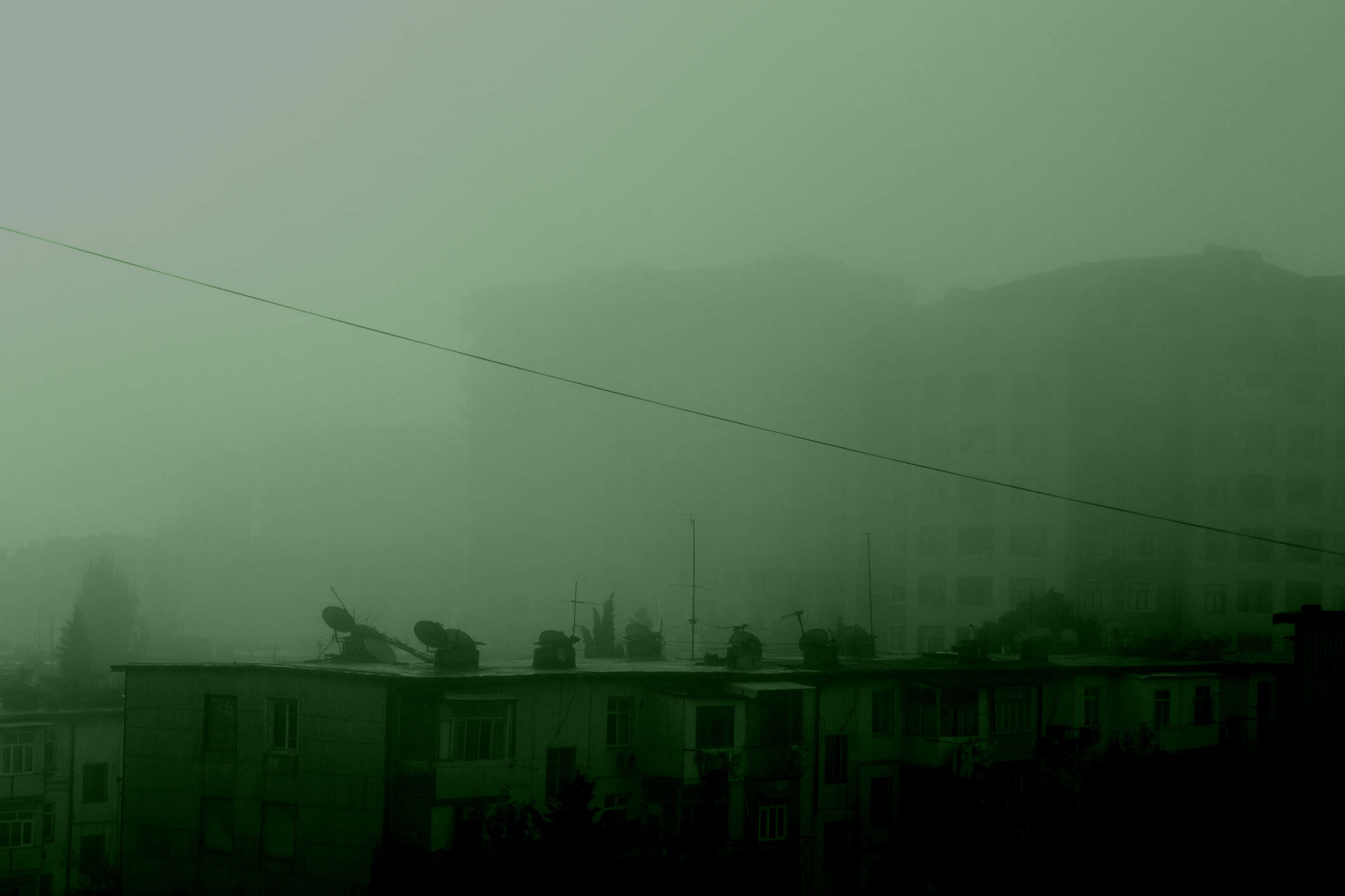 زیبایی سبز تیره والپیپر