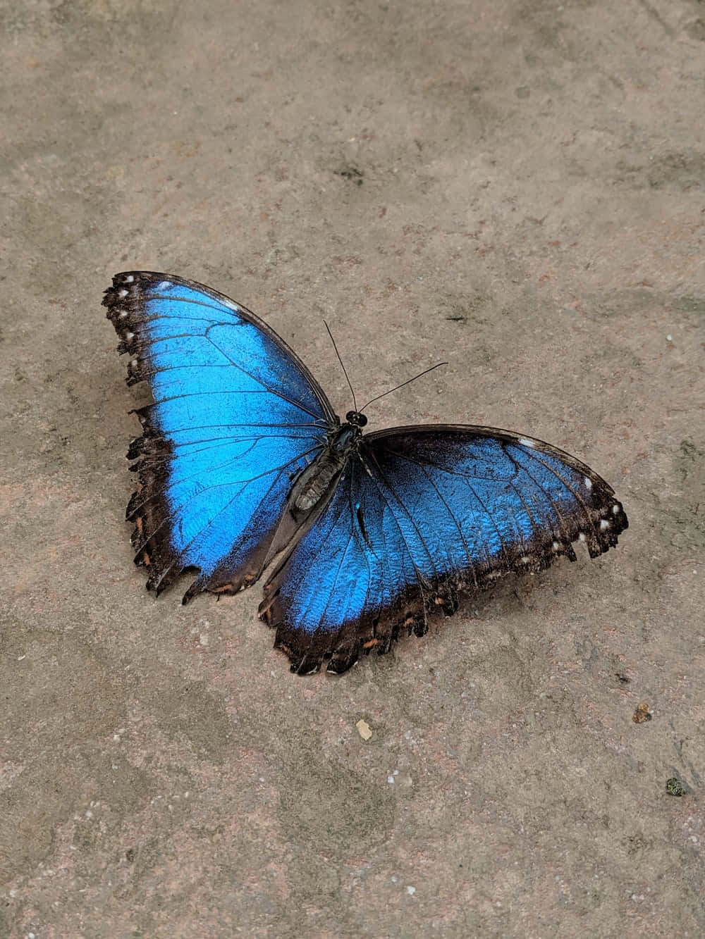 زیبایی طبیعت والپیپر