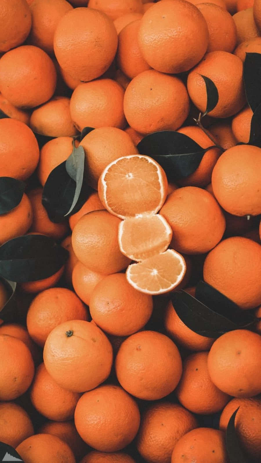 زیبایی طبیعی در رنگ‌های گوناگون از جمله نارنجی 🍊 والپیپر