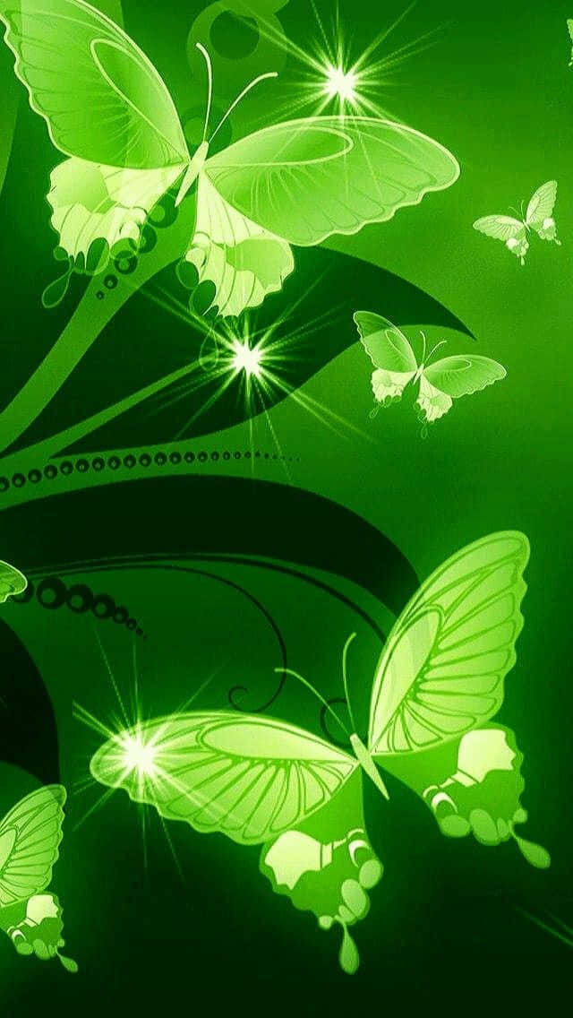 زیبایی پروانه سبز و گیاه سبز والپیپر