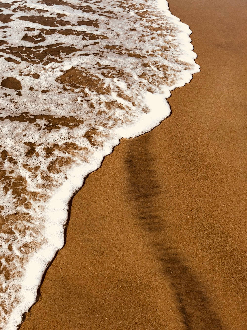 ساحل زیبا به رنگ قهوه‌ای روشن والپیپر