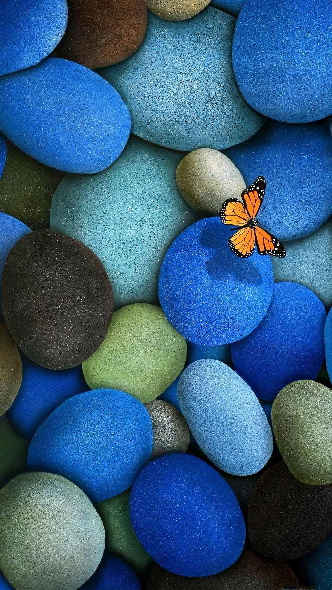 سامسونگ گلکسی 4K سنگریزه‌های آبی و یک پروانه
