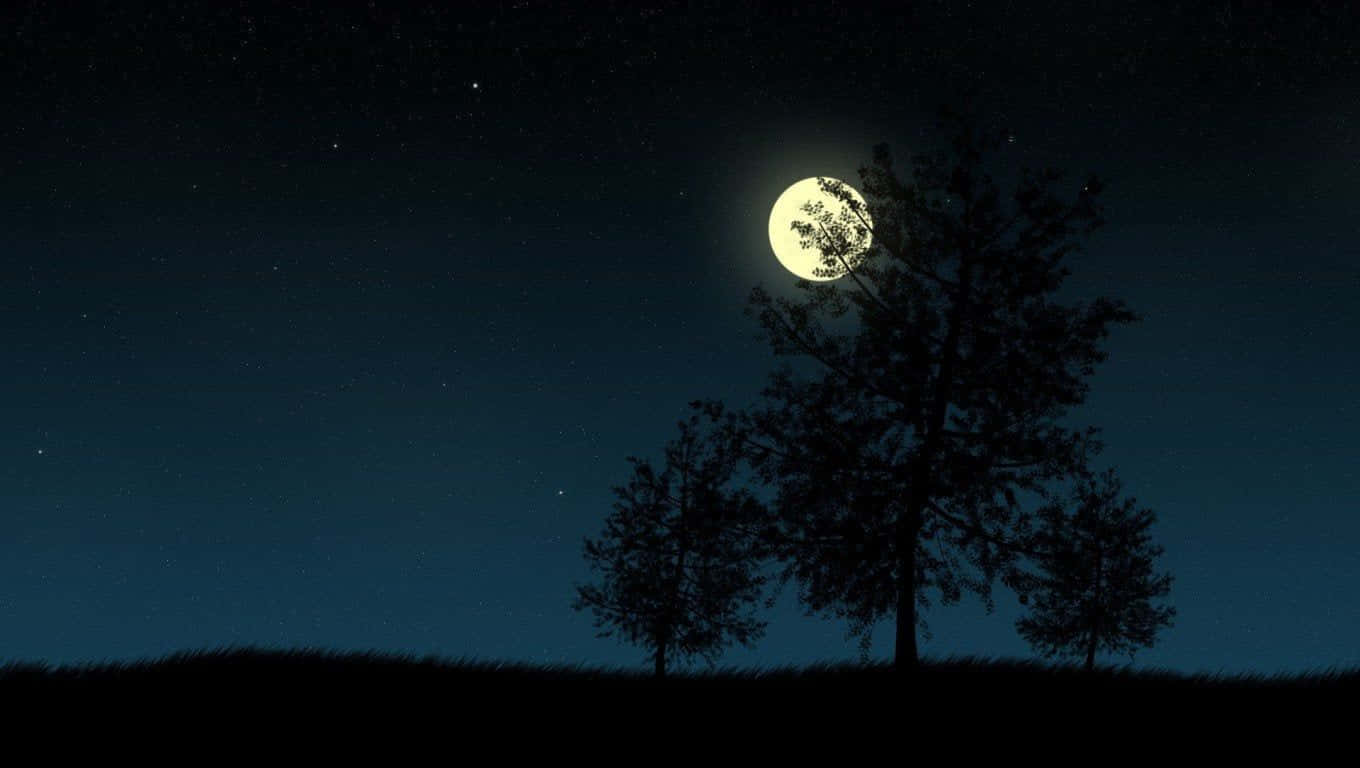 شب‌آسمانی با درختان و ماه والپیپر