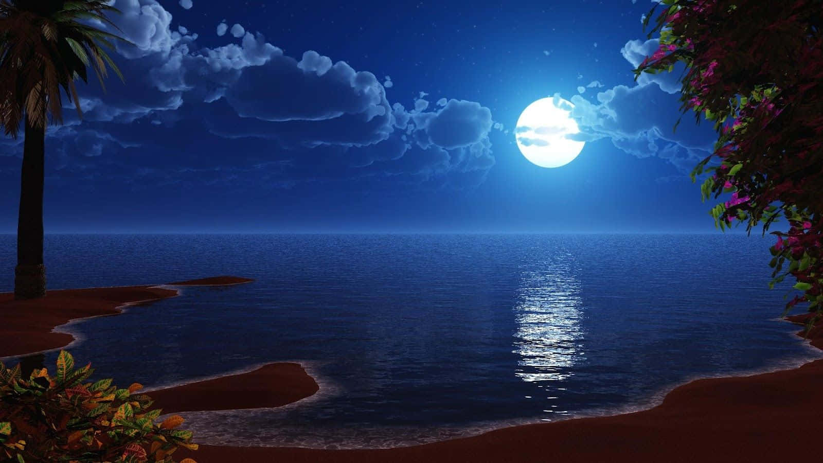 شب مهتابی با نخل‌ها و ساحل والپیپر