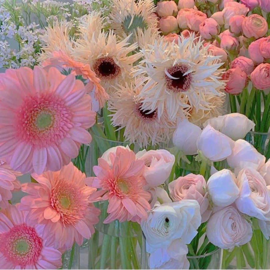 شکوفه‌ای سفید و صورتی در تابستان والپیپر