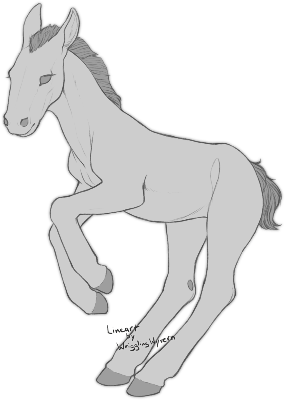 طرح_ اسب_ کره_ جوان والپیپر