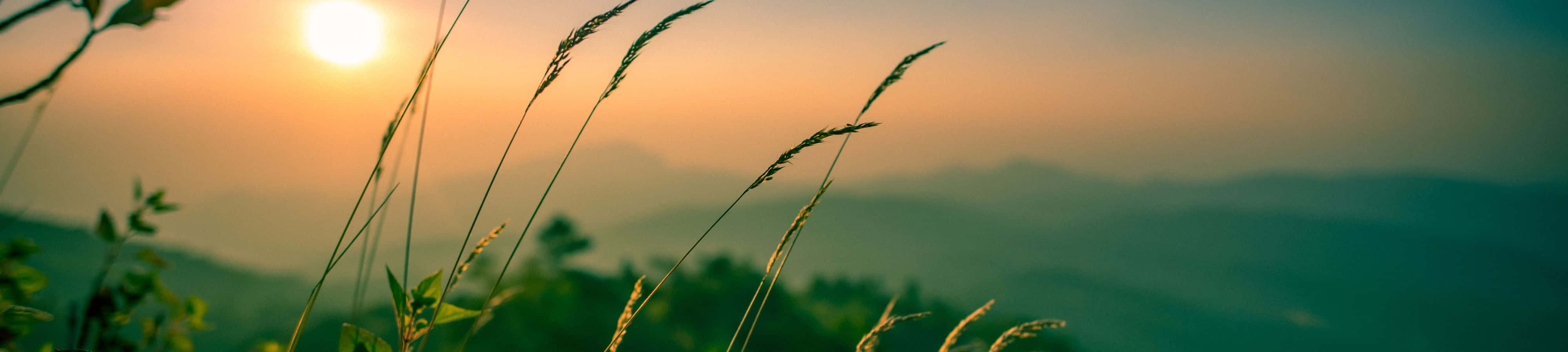 غروب ایدیلیک در محوطهای کوهستانی محصور در جنگلهای سرسبز سوزنیبرگ والپیپر