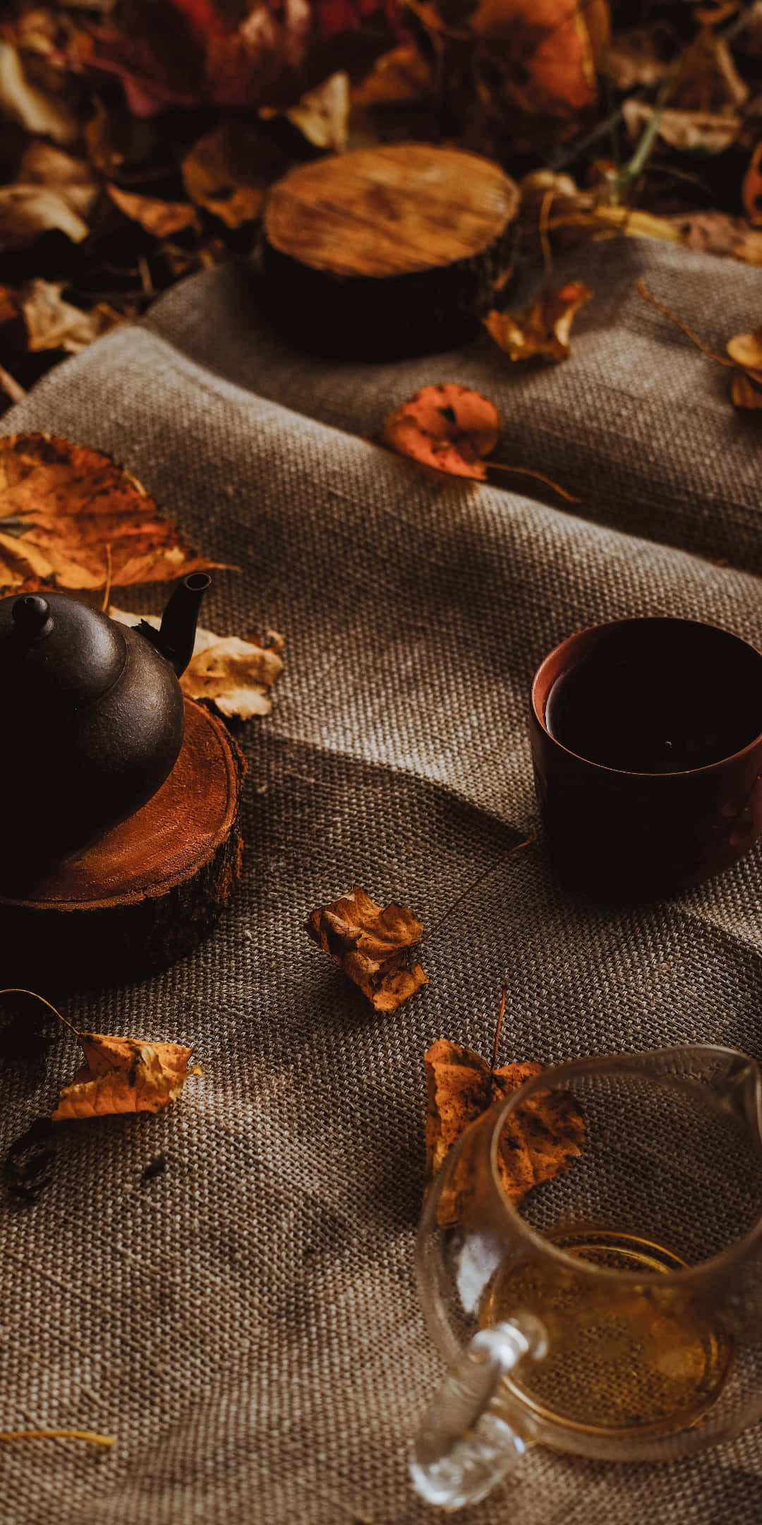 لذت ببر پاییز با پیکسل ۳ والپیپر