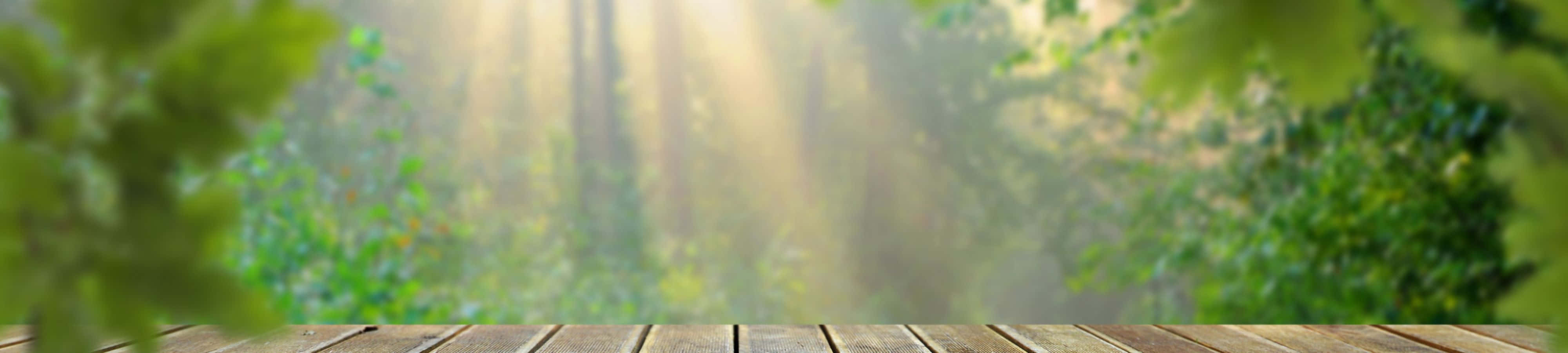 لذت زیبایی طبیعت والپیپر