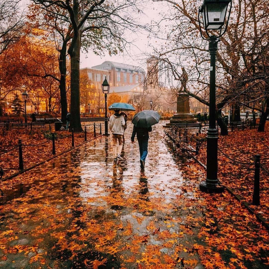 لذت زیبایی پاییز والپیپر