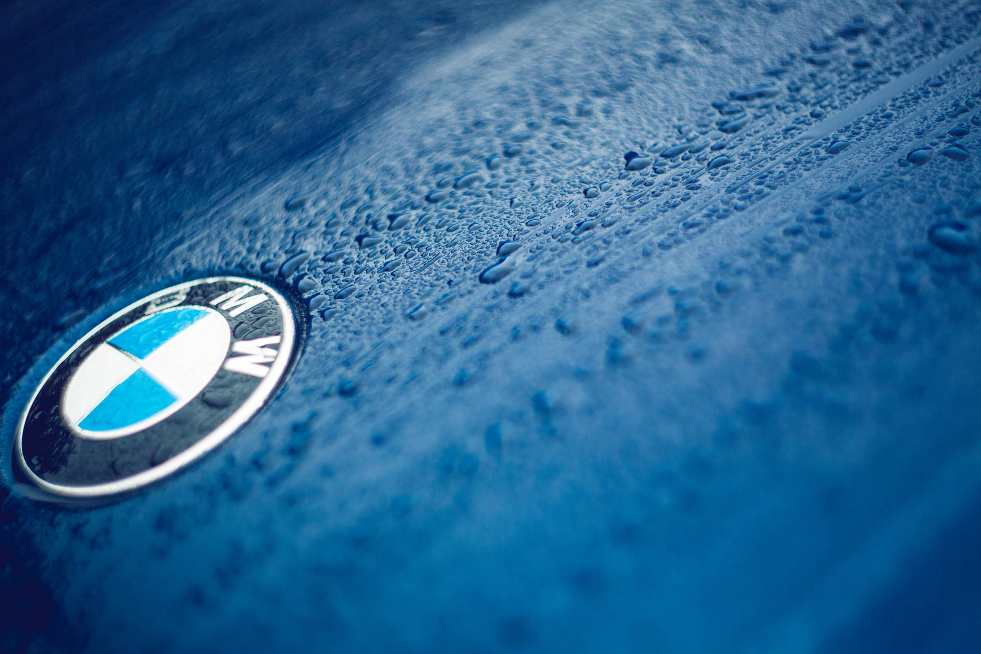 والپیپر نمای نزدیک از لوگوی BMW روی خودروی آبی با قطرات — بی‌ام‌و والپیپر