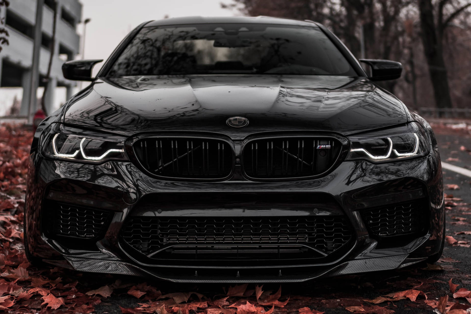 لپ‌تاپ مشکی براق BMW M5 — گیف استتیک سیاه والپیپر