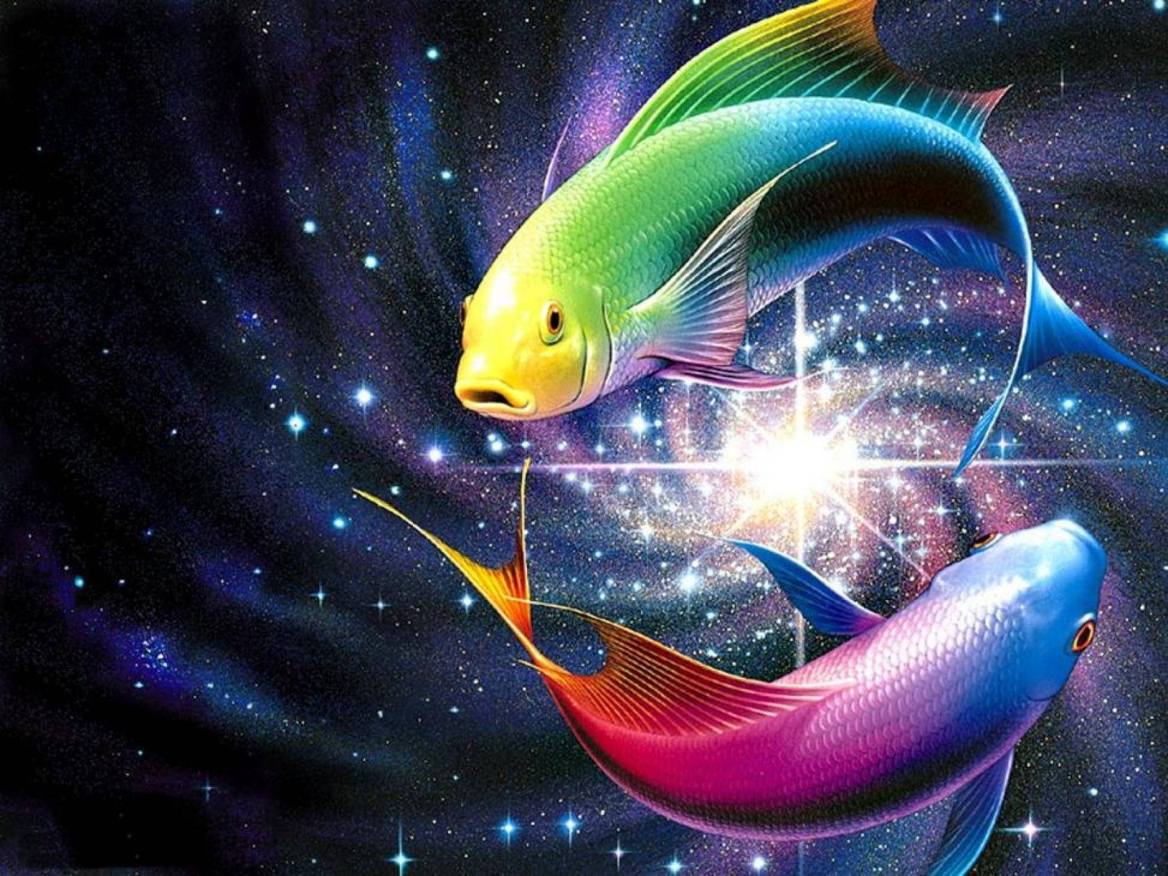 ماهی باحال درخشان نئونی والپیپر